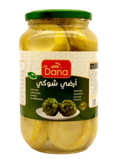 أرضي شوكي